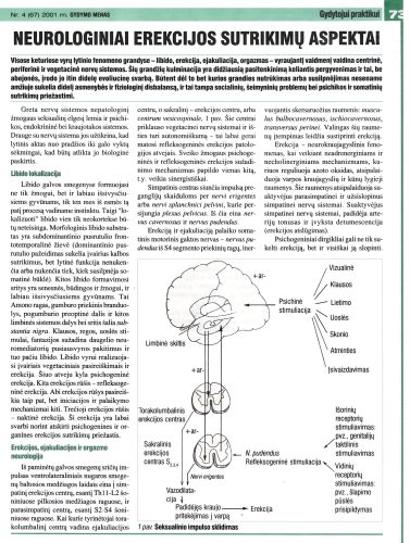 Gyvenimo menas